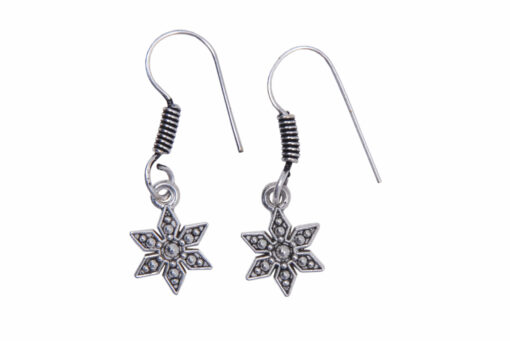Star Shape Hanging Earring, Made With German Silver.