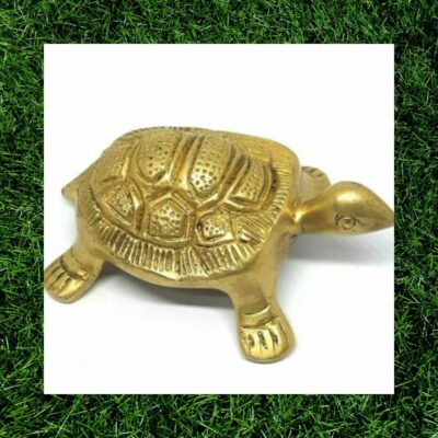 Buy Brass Tortoise Statue