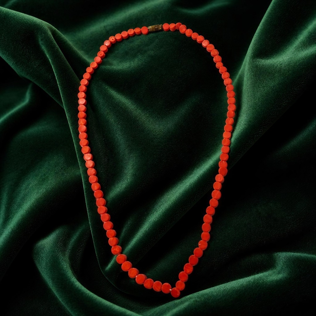 ISJN00025